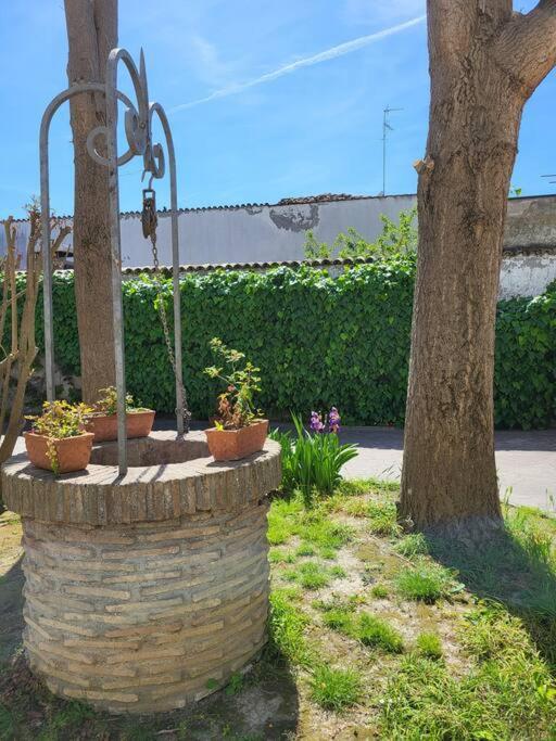 Casa Pascoli Διαμέρισμα Ραβένα Εξωτερικό φωτογραφία